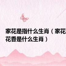 家花是指什么生肖(家花更比小花香是什么生肖)