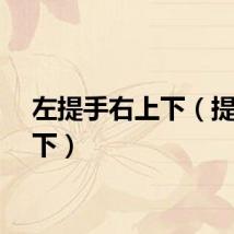 左提手右上下（提手上下）