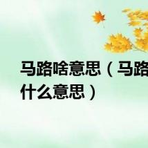 马路啥意思（马路大是什么意思）