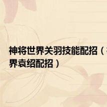 神将世界关羽技能配招(神将世界袁绍配招)