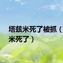 塔兹米死了被抓（塔兹米死了）