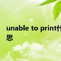 unable to print什么意思