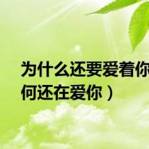 为什么还要爱着你（为何还在爱你）