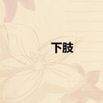 下肢