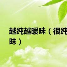 越纯越暖昧（很纯很暖昧）