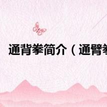 通背拳简介（通臂拳）