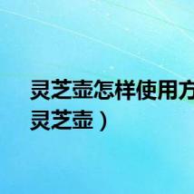 灵芝壶怎样使用方法（灵芝壶）
