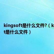 kingsoft是什么文件?(kingsoft是什么文件)