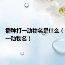 播种打一动物名是什么(播种打一动物名)