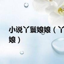 小说丫鬟娘娘（丫鬟娘娘）