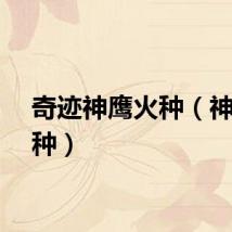 奇迹神鹰火种（神鹰火种）