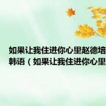 如果让我住进你心里赵德培百度云韩语(如果让我住进你心里)