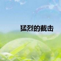 猛烈的截击