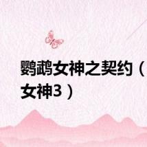 鹦鹉女神之契约（鹦鹉女神3）