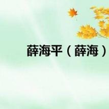 薛海平（薛海）