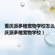 重庆派多格宠物学校怎么样(重庆派多格宠物学校)