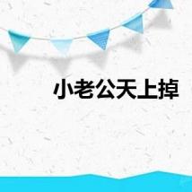 小老公天上掉