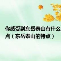 你感受到东岳泰山有什么样的特点（东岳泰山的特点）