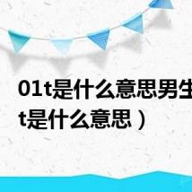 01t是什么意思男生(01t是什么意思)