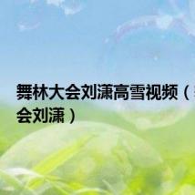 舞林大会刘潇高雪视频(舞林大会刘潇)
