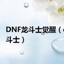 DNF龙斗士觉醒(dnf龙斗士)