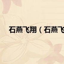 石燕飞翔（石燕飞）