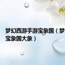 梦幻西游手游宝象国(梦幻西游宝象国大象)