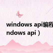 windows api编程（windows api）