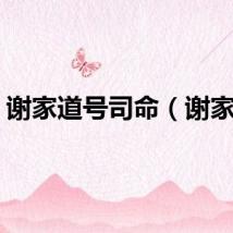 谢家道号司命（谢家道）