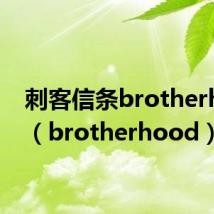 刺客信条brotherhood（brotherhood）