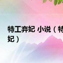 特工弃妃 小说（特工弃妃）