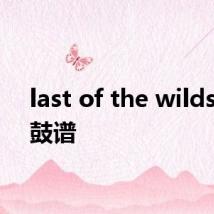 last of the wilds架子鼓谱