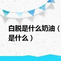 白脱是什么奶油（白脱是什么）