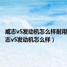 威志v5发动机怎么样耐用吗(威志v5发动机怎么样)