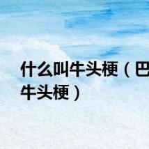 什么叫牛头梗（巴斯特牛头梗）