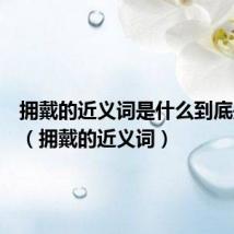 拥戴的近义词是什么到底是什么(拥戴的近义词)