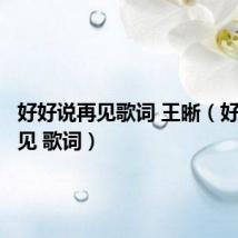 好好说再见歌词 王晰（好好说再见 歌词）