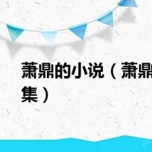 萧鼎的小说（萧鼎作品集）
