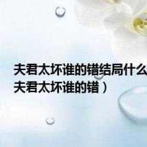 夫君太坏谁的错结局什么意思（夫君太坏谁的错）