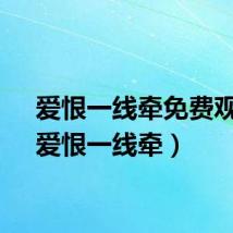 爱恨一线牵免费观看（爱恨一线牵）