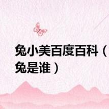 兔小美百度百科（大美兔是谁）