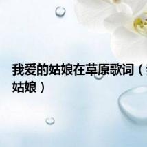 我爱的姑娘在草原歌词（我爱的姑娘）