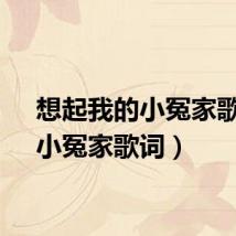 想起我的小冤家歌词(小冤家歌词)