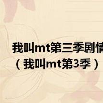 我叫mt第三季剧情介绍(我叫mt第3季)