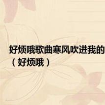 好烦哦歌曲寒风吹进我的家歌词(好烦哦)