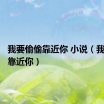 我要偷偷靠近你 小说(我要偷偷靠近你)