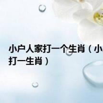 小户人家打一个生肖(小户人家打一生肖)