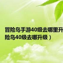 冒险岛手游40级去哪里升级（冒险岛40级去哪升级）