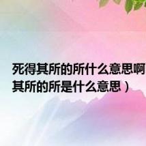 死得其所的所什么意思啊(死得其所的所是什么意思)