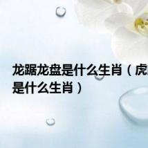 龙踞龙盘是什么生肖(虎踞龙盘是什么生肖)